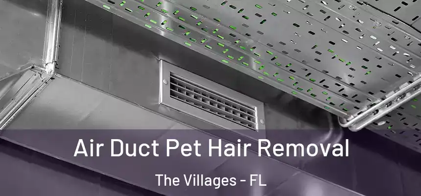 Air Duct Pet Hair Removal The Villages - FL