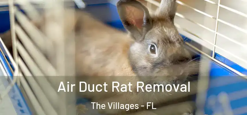 Air Duct Rat Removal The Villages - FL