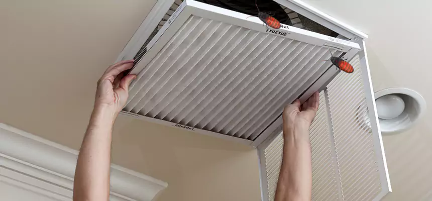 Preventive Cockroach-Proofing for Ducts in The Villages