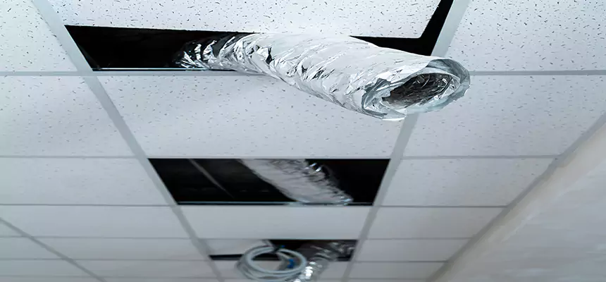 Affordable HVAC Sanitizing After Pest Removal in The Villages