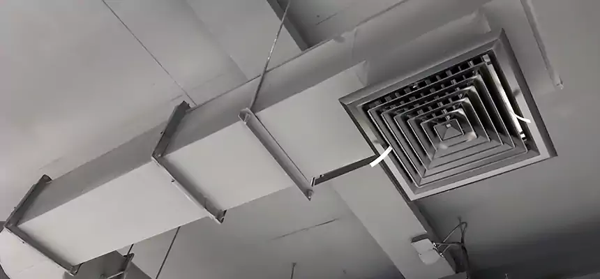 Our Pest Removal From Ducts Services in The Villages, FL