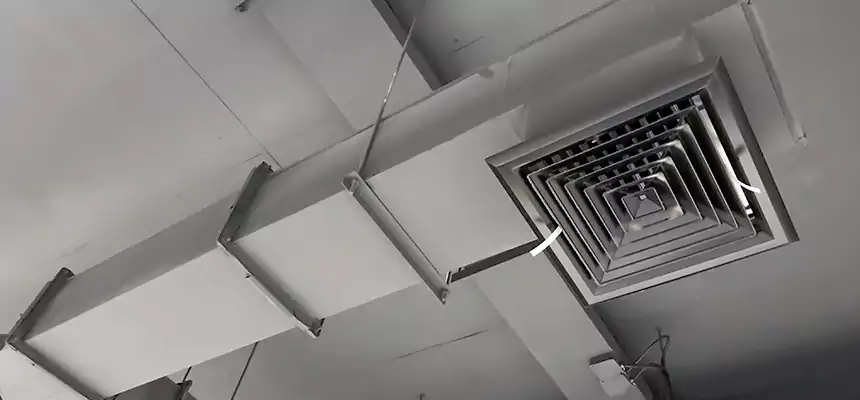 Our Rodent Droppings In Vents Services in The Villages, FL