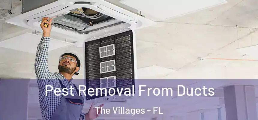 Pest Removal From Ducts The Villages - FL