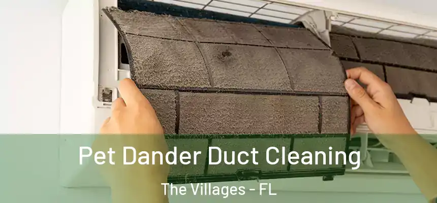 Pet Dander Duct Cleaning The Villages - FL