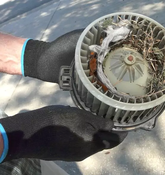 About Air Duct Mice Removal in The Villages, FL