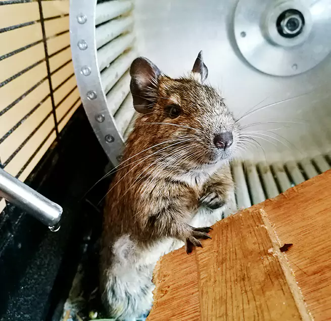 Why Homeowners & Businesses Trust Us The Villages, FL