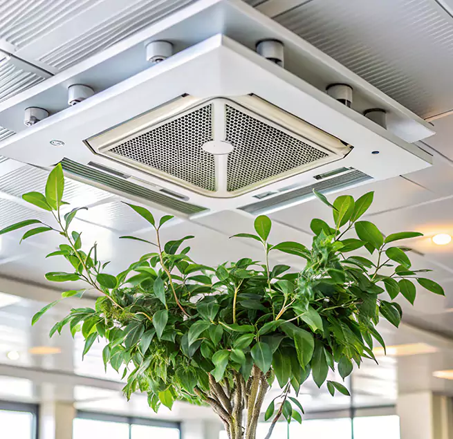 Why Homeowners & Businesses Trust Us in The Villages, FL?